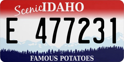 ID license plate E477231