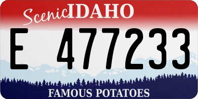 ID license plate E477233