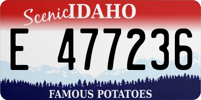 ID license plate E477236
