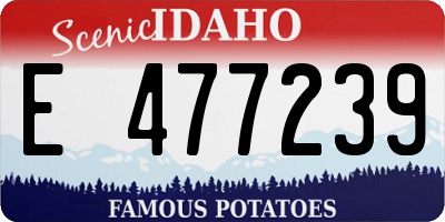 ID license plate E477239