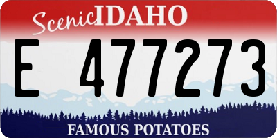 ID license plate E477273