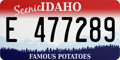 ID license plate E477289