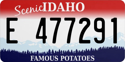 ID license plate E477291