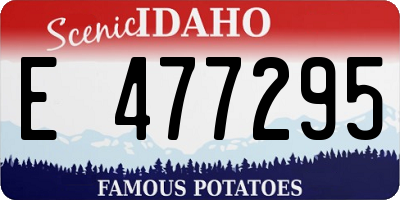 ID license plate E477295