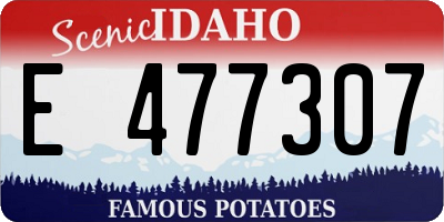 ID license plate E477307