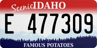 ID license plate E477309