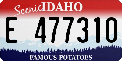 ID license plate E477310