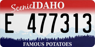 ID license plate E477313