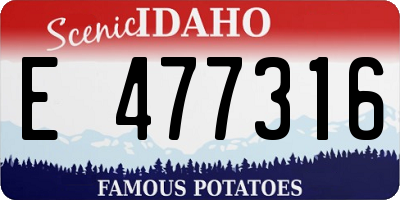 ID license plate E477316