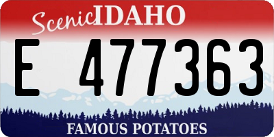 ID license plate E477363