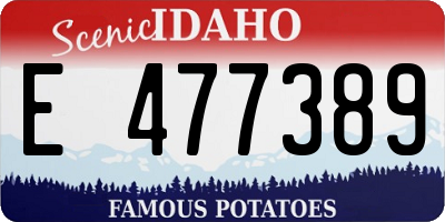 ID license plate E477389