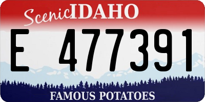 ID license plate E477391