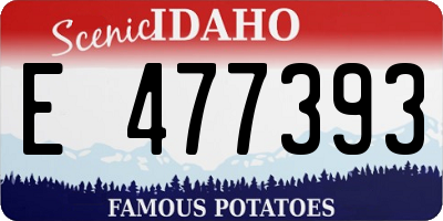 ID license plate E477393