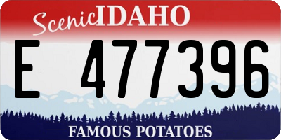 ID license plate E477396