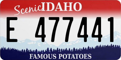 ID license plate E477441