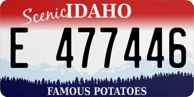 ID license plate E477446