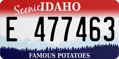 ID license plate E477463