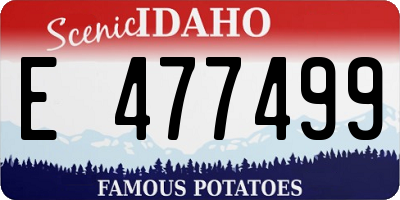 ID license plate E477499