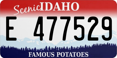 ID license plate E477529