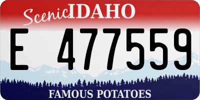ID license plate E477559