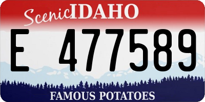 ID license plate E477589