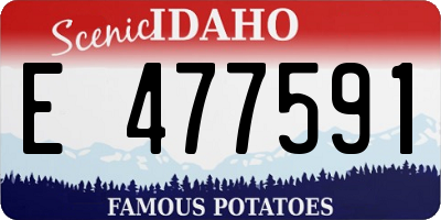 ID license plate E477591