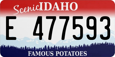 ID license plate E477593