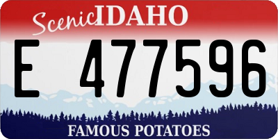 ID license plate E477596