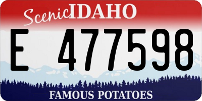 ID license plate E477598