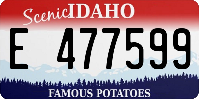 ID license plate E477599