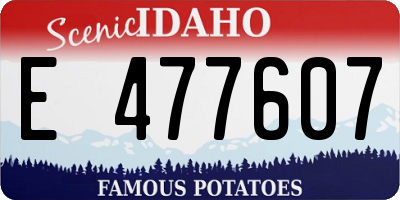 ID license plate E477607