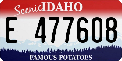 ID license plate E477608