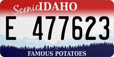 ID license plate E477623