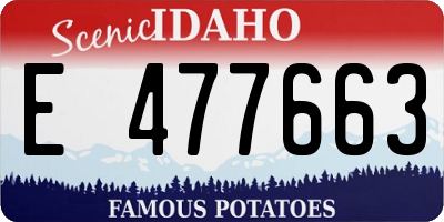 ID license plate E477663