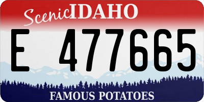 ID license plate E477665