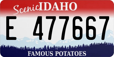 ID license plate E477667