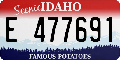 ID license plate E477691
