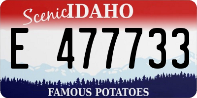 ID license plate E477733