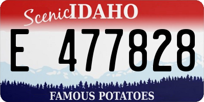 ID license plate E477828