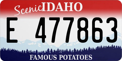 ID license plate E477863