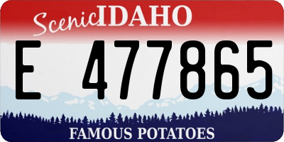 ID license plate E477865