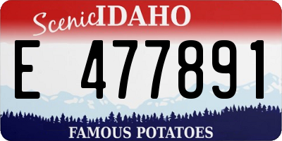 ID license plate E477891