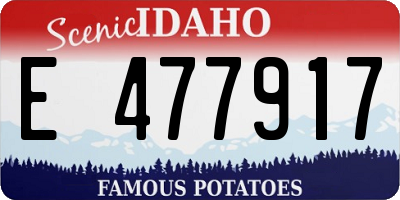 ID license plate E477917