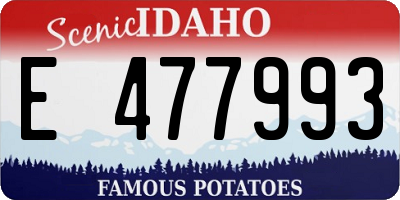 ID license plate E477993