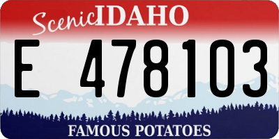 ID license plate E478103