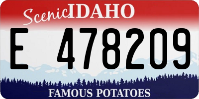 ID license plate E478209