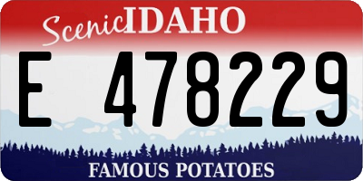 ID license plate E478229