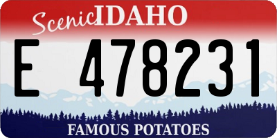 ID license plate E478231