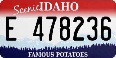 ID license plate E478236