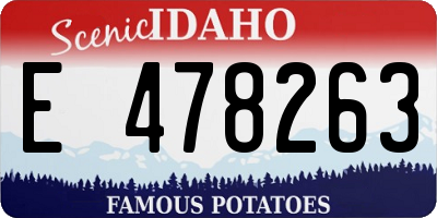 ID license plate E478263